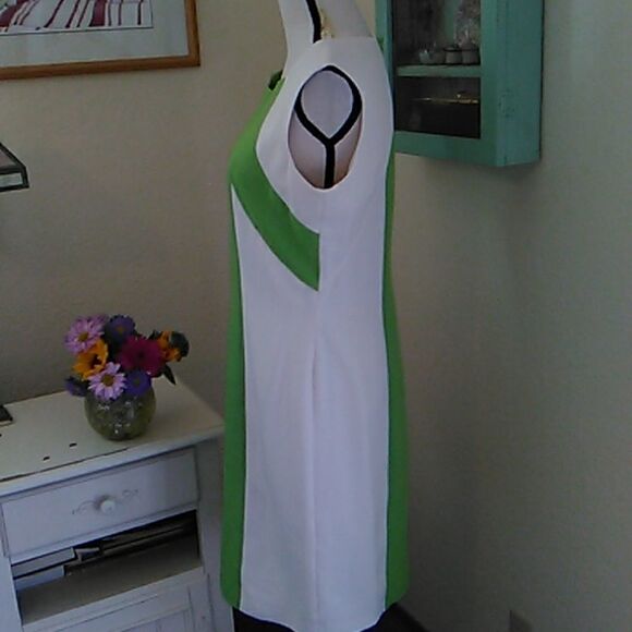 Ellen Tracy Beautifully Seamed Colorblock Dress - Picture 5 of 11